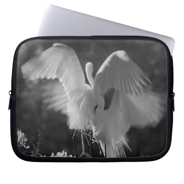 Verenigde Staten, Florida, Great Egret (Ardea alba Laptop Sleeve (Voorkant)