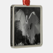 Verenigde Staten, Florida, Great Egret (Ardea alba Metalen Ornament (Rechts)