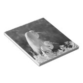 Verenigde Staten, Florida, Great Egret (Ardea alba Notitieblok (Schuin)