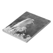 Verenigde Staten, Florida, Great Egret (Ardea alba Notitieblok (Linkerzijde)