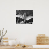 Verenigde Staten, Florida, Great Egret (Ardea alba Poster (Keuken)