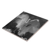 Verenigde Staten, Florida, Great Egret (Ardea alba Tegeltje (Zijkant)