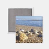 Verenigde Staten, Florida, kustwateren Magneet (Voorkant / Achterkant)