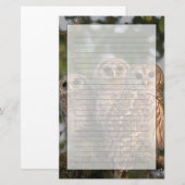 Verenigde Staten, Florida, Viera Wetlands. Drie st Briefpapier (Voorkant / Achterkant)