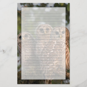 Verenigde Staten, Florida, Viera Wetlands. Drie st Briefpapier