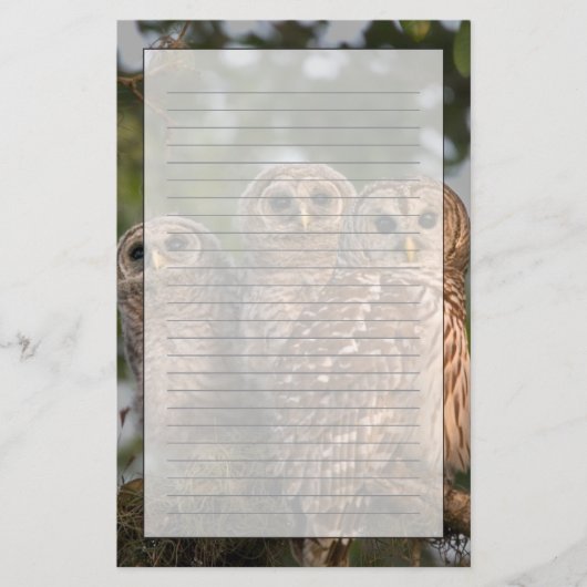 Verenigde Staten, Florida, Viera Wetlands. Drie st Briefpapier (Voorkant)