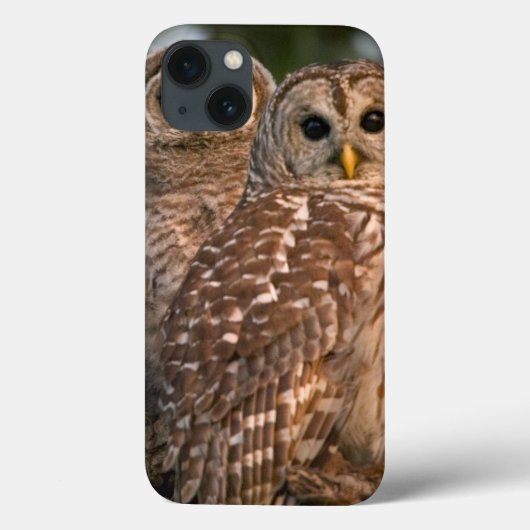 Verenigde Staten, Florida, Viera Wetlands. Drie st Case-Mate iPhone Case (Achterkant)