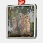 Verenigde Staten, Florida, Viera Wetlands. Drie st Metalen Ornament (Links)