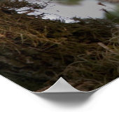 Verenigde Staten, Florida, Viera Wetlands. Drie st Poster (Hoek)