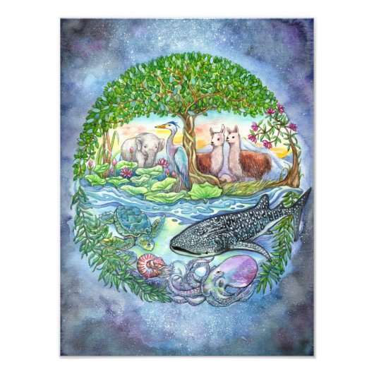 Verenigde Staten Foto Afdruk (Voorkant)