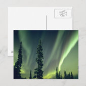 Verenigde Staten, gebied Fairbanks, Central Alaska Briefkaart (Voorkant / Achterkant)