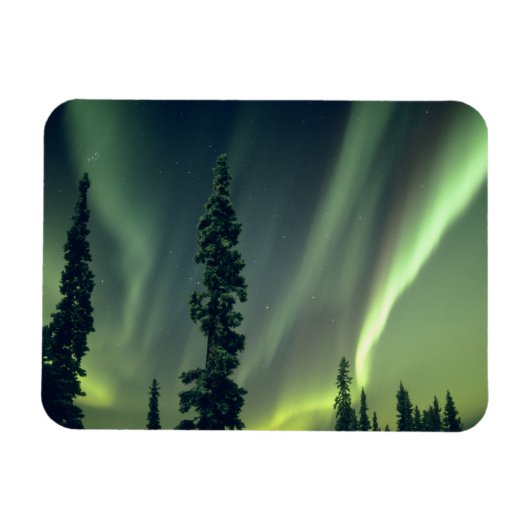 Verenigde Staten, gebied Fairbanks, Central Alaska Magneet (Horizontaal)