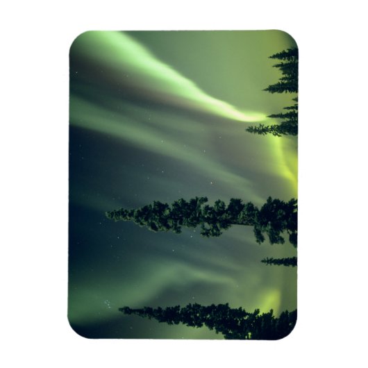 Verenigde Staten, gebied Fairbanks, Central Alaska Magneet (Verticaal)