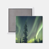 Verenigde Staten, gebied Fairbanks, Central Alaska Magneet (Voorkant / Achterkant)