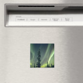 Verenigde Staten, gebied Fairbanks, Central Alaska Magneet (Insitu (Vaatwasser))