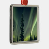 Verenigde Staten, gebied Fairbanks, Central Alaska Metalen Ornament (Rechts)