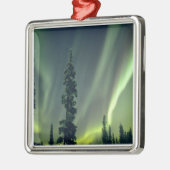 Verenigde Staten, gebied Fairbanks, Central Alaska Metalen Ornament (Links)