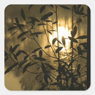 Verenigde Staten, Georgië, Callaway Gardens, Sunri Vierkante Sticker