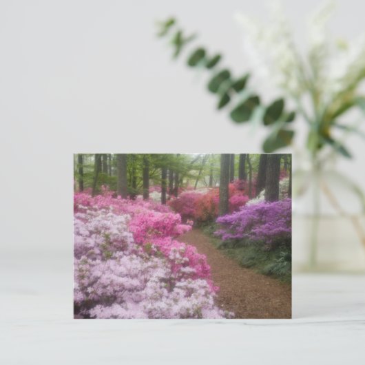 Verenigde Staten, Georgië, Pine Mountain. Azaleas  Briefkaart (Staand voorkant)