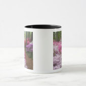 Verenigde Staten; Georgië; Pine Mountain. Azaleas Mok (Midden)