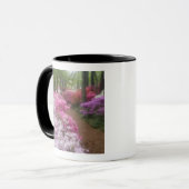 Verenigde Staten; Georgië; Pine Mountain. Azaleas Mok (Voorkant links)