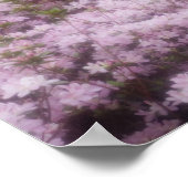 Verenigde Staten, Georgië, Pine Mountain. Azaleas  Poster (Hoek)