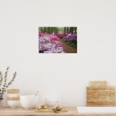 Verenigde Staten, Georgië, Pine Mountain. Azaleas  Poster (Keuken)