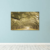 Verenigde Staten, Georgië, Savannah... een met eik Canvas Afdruk (Insitu (Houten vloer))