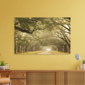 Verenigde Staten, Georgië, Savannah... een met eik Canvas Afdruk (Insitu (Woonkamer))