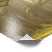 Verenigde Staten, Georgië, Savannah... een met eik Foto Afdruk (Hoek)