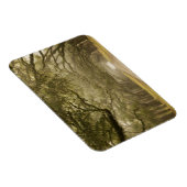 Verenigde Staten, Georgië, Savannah... een met eik Magneet (Rechterzijde)