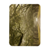 Verenigde Staten, Georgië, Savannah... een met eik Magneet (Verticaal)