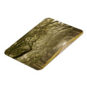 Verenigde Staten, Georgië, Savannah... een met eik Magneet (Linkerzijde)