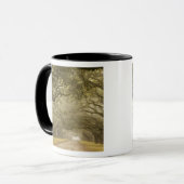 Verenigde Staten, Georgië, Savannah... een met eik Mok (Voorkant links)