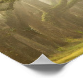 Verenigde Staten, Georgië, Savannah... een met eik Poster (Hoek)