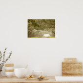 Verenigde Staten, Georgië, Savannah... een met eik Poster (Keuken)