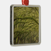 Verenigde Staten; Georgië; Savannah. eikenbomen me Metalen Ornament (Rechts)
