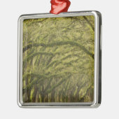 Verenigde Staten; Georgië; Savannah. eikenbomen me Metalen Ornament (Links)