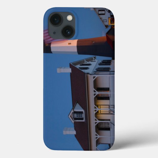 Verenigde Staten, Georgië, Tybee-eiland, vlaggevli Case-Mate iPhone Case (Achterkant)