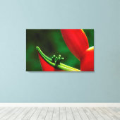Verenigde Staten, Hawaii, Hilo. Heliconia Canvas Afdruk (Insitu (Houten vloer))
