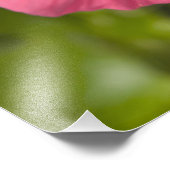 Verenigde Staten, Hawaii, Kauai, Hibiscus Foto Afdruk (Hoek)