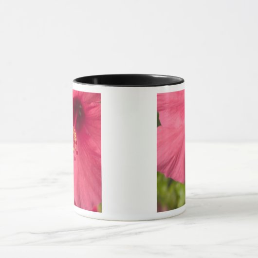 Verenigde Staten, Hawaii, Kauai, Hibiscus Mok (Midden)