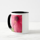 Verenigde Staten, Hawaii, Kauai, Hibiscus Mok (Voorkant links)