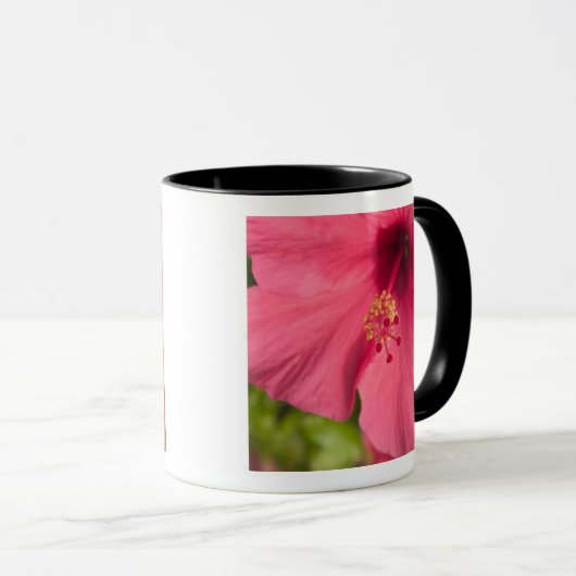 Verenigde Staten, Hawaii, Kauai, Hibiscus Mok (Voorkant rechts)