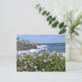 Verenigde Staten, Hawaii, Kauai, nabij Kapaa, noor Briefkaart (Staand voorkant)