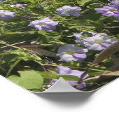 Verenigde Staten, Hawaii, Kauai, nabij Kapaa, noor Poster (Hoek)