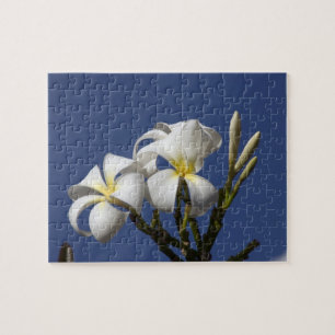 Verenigde Staten, Hawaii, Kauai, witte plumeria. Legpuzzel