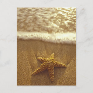 Verenigde Staten, Hawaii, Maui, Maui, Kihei, Starf Briefkaart