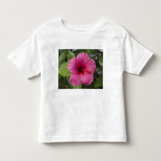 Verenigde Staten, Hawaii, Oahu. De Hibiscus is de  Kinder Shirts (Voorkant)