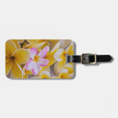 Verenigde Staten, Hawaii, Oahu, Plumeria bloemen i Bagagelabel (Voorkant horizontaal)